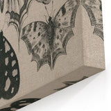 Gothic Artworks - Vintage Insect Illustration on Medieval Gothic Canvas