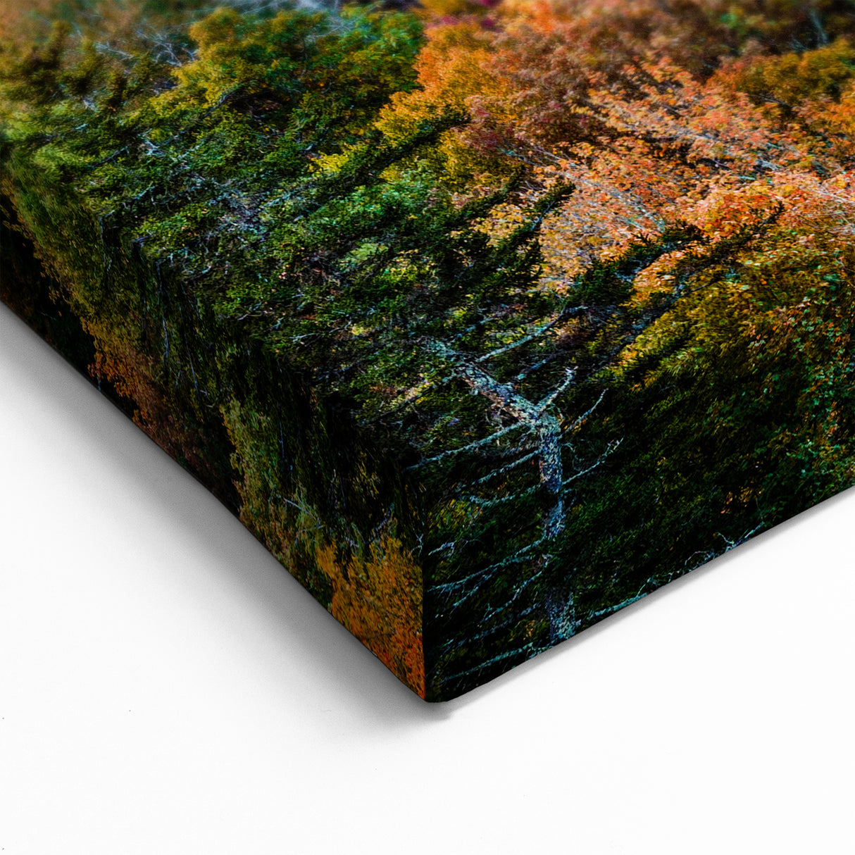 Lowcountry Wall Decor – Scenic South Carolina Mountain Road at Sunset