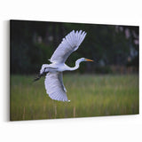 Southern Charm Wall Art – Elegant Bird in Flight, South Carolina Scenic