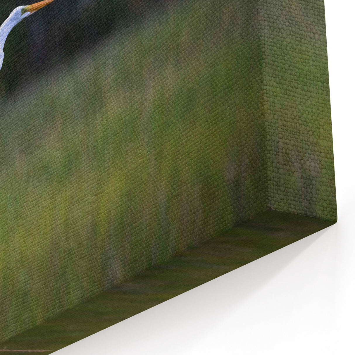 Southern Charm Wall Art – Elegant Bird in Flight, South Carolina Scenic