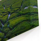 Charleston Scenic Art - Lowcountry Marshlands at Sunset South Carolina Print