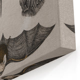 Vintage Bat Illustration - Abstract Grunge Aesthetic Art Canvas Print