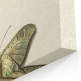 Blue and Beige Butterfly Grunge Art - Abstract Canvas Print Decor