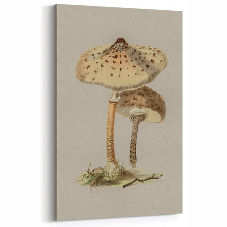 Vintage Mushroom Grunge Art - Botanical Canvas Print - Natural Decor