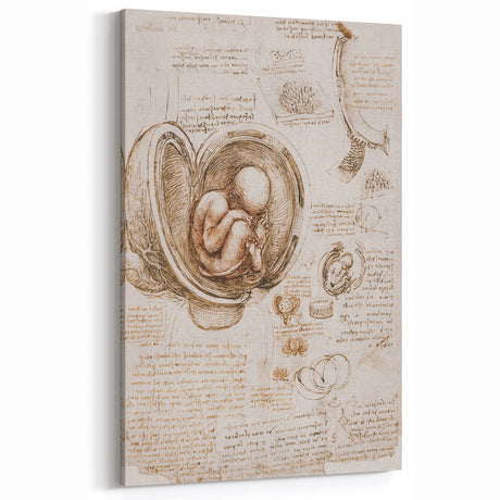 Vintage Anatomy Grunge Art - Da Vinci Canvas Print - Academic Decor