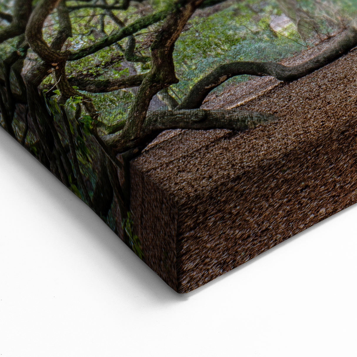 Charleston Wall Art - Angel Oak Tree Charleston SC Photography Print