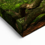 Historic Charleston Art - Angel Oak Tree South Carolina Photography