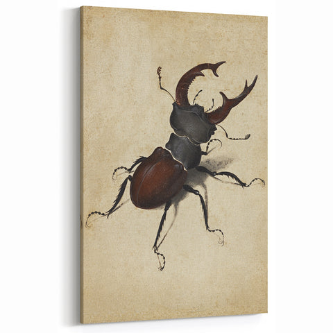 Abstract Grunge Stag Beetle Art - Distressed Insect Canvas Print