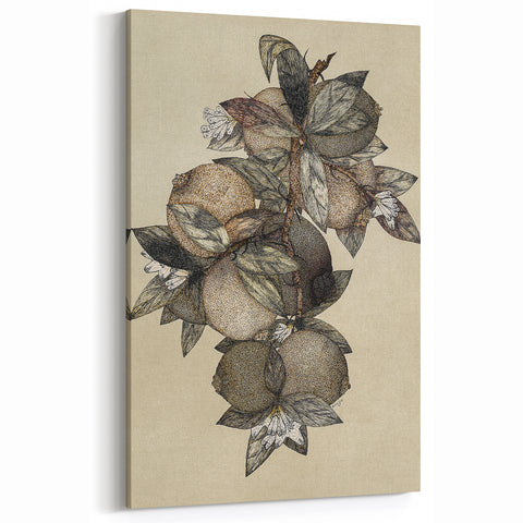 Grunge Citrus Botanical Art - Distressed Vintage Lemon Canvas Print