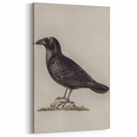 Grunge Crow Art Print - Vintage Dark Bird Canvas for Modern Decor