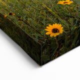 Minnesota Prairie Sunset - Framed and Canvas Wall Art for Nature Lovers