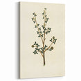 Vintage Grunge Botanical Print - Minimalist Greenery Canvas Wall Art