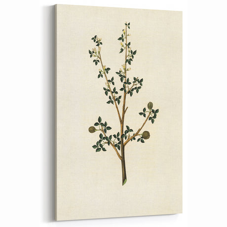 Vintage Grunge Botanical Print - Minimalist Greenery Canvas Wall Art