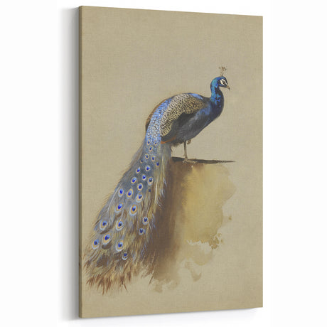 Vintage Peacock Grunge Art Print - Distressed Bird Canvas Wall Decor