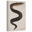 Abstract Grunge Art - Vintage Eel Design - Urban Grunge Canvas Print