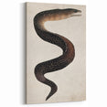 Abstract Grunge Art - Vintage Eel Design - Urban Grunge Canvas Print