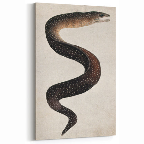 Abstract Grunge Art - Vintage Eel Design - Urban Grunge Canvas Print