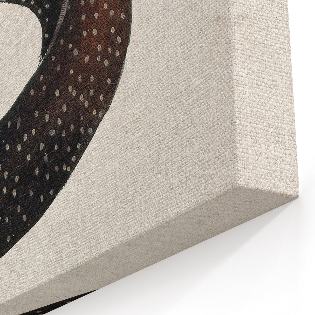 Abstract Grunge Art - Vintage Eel Design - Urban Grunge Canvas Print