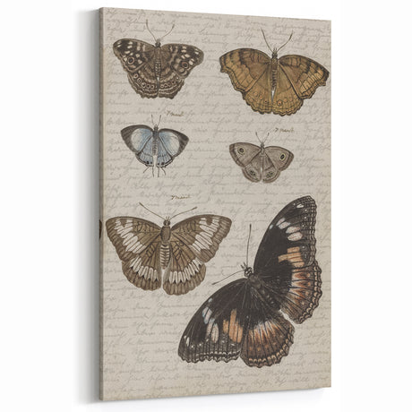 Vintage Butterfly Grunge Art - Distressed Canvas Print - Urban Decor