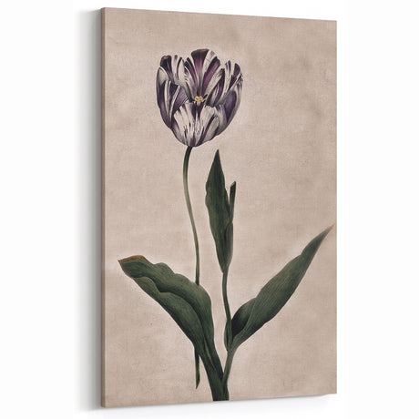 Vintage Tulip Grunge Art - Distressed Botanical Canvas Print - Urban Decor