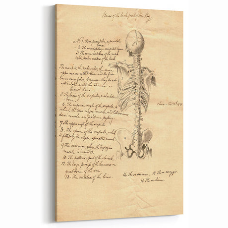 Vintage Anatomy Grunge Art - Distressed Skeleton Canvas Print - Urban Decor