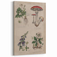 Grunge Botanical Poison Art - Vintage Mushroom and Floral Wall Print