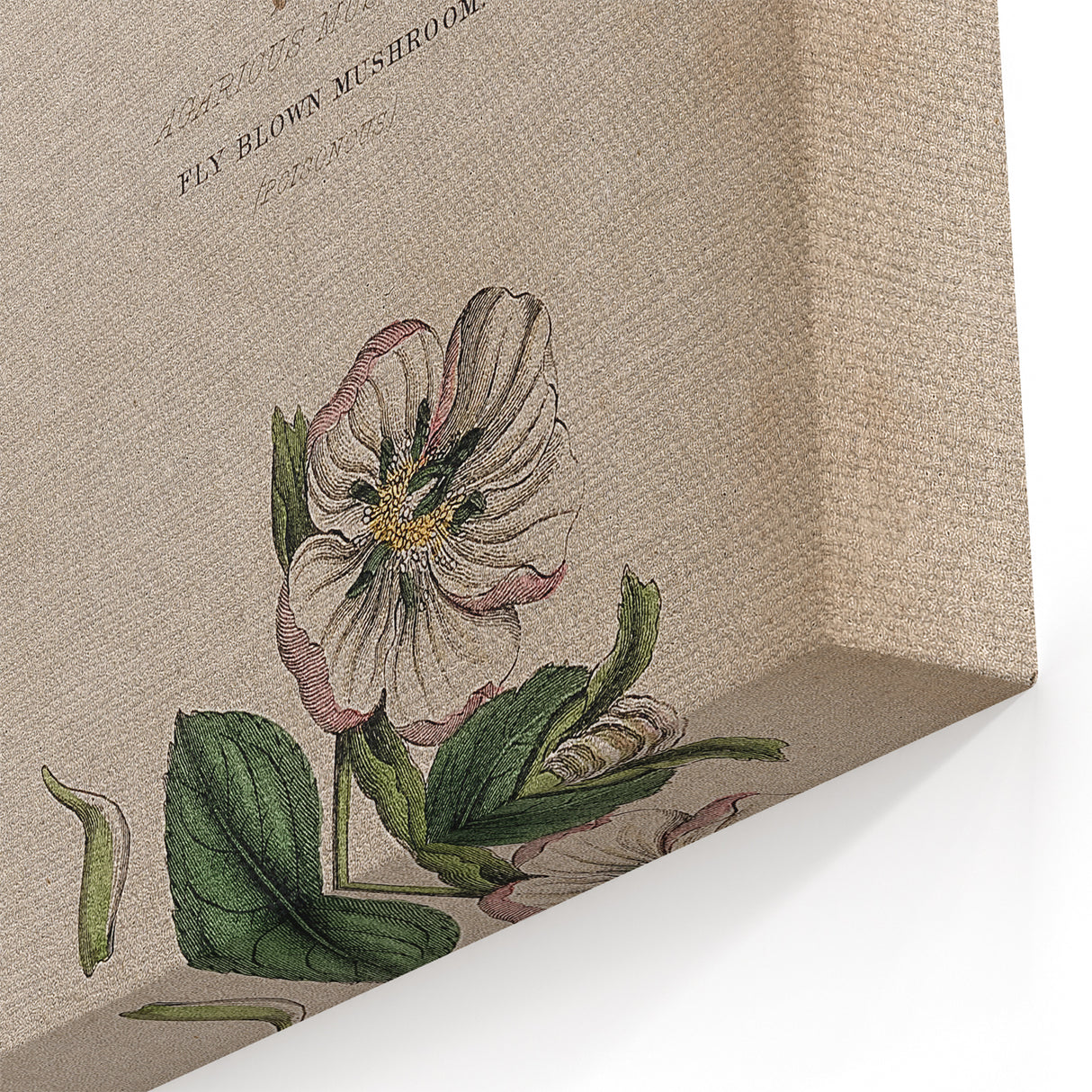 Grunge Botanical Poison Art - Vintage Mushroom and Floral Wall Print