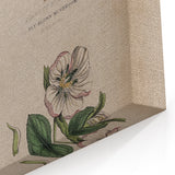 Grunge Botanical Poison Art - Vintage Mushroom and Floral Wall Print