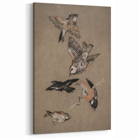 Grunge Bird Illustration - Distressed Vintage Avian Art Print for Decor