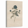 Vintage Grunge Rose Illustration - Distressed Botanical Floral Wall Art