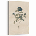 Vintage Grunge Rose Illustration - Distressed Botanical Floral Wall Art