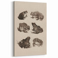 Vintage Grunge Frog Illustration - Distressed Amphibian Wall Art Print