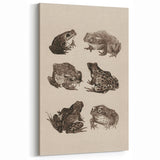 Vintage Grunge Frog Illustration - Distressed Amphibian Wall Art Print