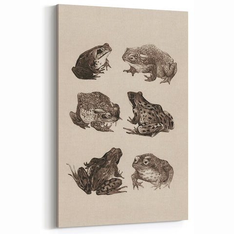 Vintage Grunge Frog Illustration - Distressed Amphibian Wall Art Print