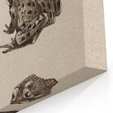 Vintage Grunge Frog Illustration - Distressed Amphibian Wall Art Print
