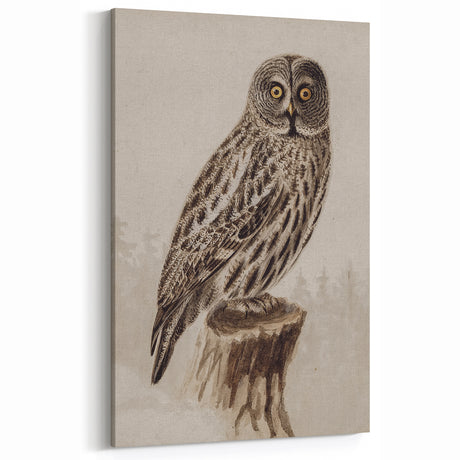 Grunge Owl Illustration - Distressed Vintage Avian Art Print for Decor