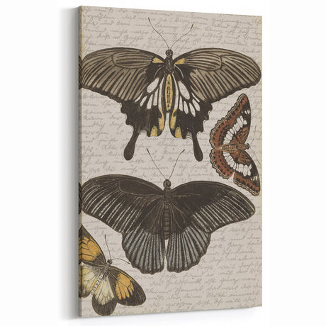 Vintage Grunge Butterfly Print - Distressed Insect Art for Wall Decor