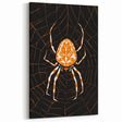 Grunge Spider and Web Art - Distressed Dark Insect Illustration Print