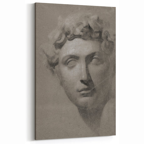 Vintage Grunge Bust Illustration - Distressed Classical Portrait Wall Art