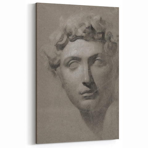 Vintage Grunge Bust Illustration - Distressed Classical Portrait Wall Art