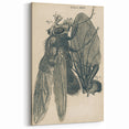 Vintage Grunge Insect Anatomy Print - Detailed Scientific Wall Art