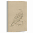 Abstract Grunge Eagle Sketch - Vintage Bird Wall Art Print