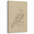 Abstract Grunge Eagle Sketch - Vintage Bird Wall Art Print