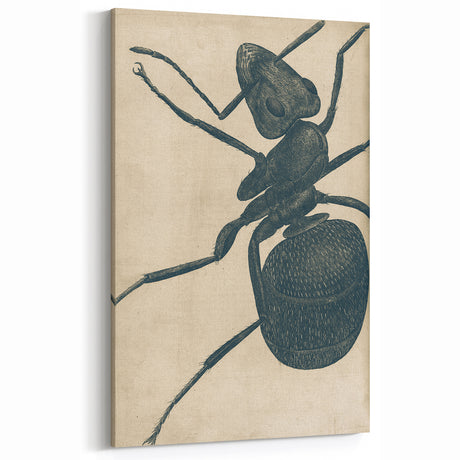 Intricate Grunge Ant Sketch - Vintage Insect Art for Modern Spaces