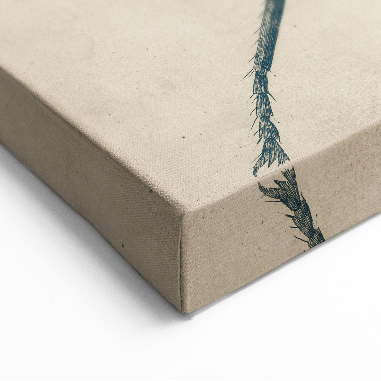 Intricate Grunge Ant Sketch - Vintage Insect Art for Modern Spaces