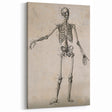 Abstract Grunge Skeleton Canvas Print - Modern Grunge Wall Art Decor