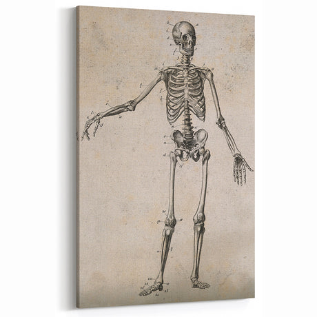 Abstract Grunge Skeleton Canvas Print - Modern Grunge Wall Art Decor