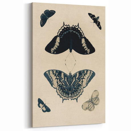 Vintage Butterfly Grunge Art | Abstract Canvas Print | Urban Wall Decor