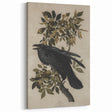 Grunge Wall Art - Vintage Raven Print on Stretched Canvas or Acrylic Glass