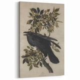 Grunge Wall Art - Vintage Raven Print on Stretched Canvas or Acrylic Glass